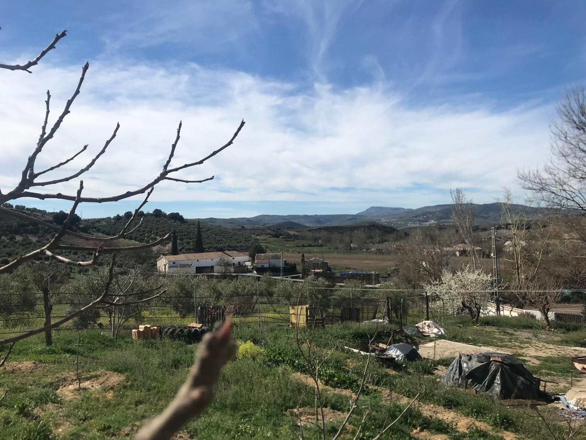 Affittacamere El Asno Azul Ribera Baja  Esterno foto